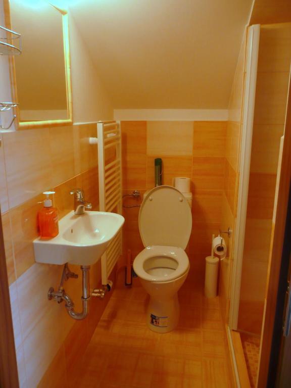 Ami Penzion Brno Quarto foto